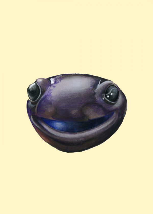 Jemez Dağları Semenderi