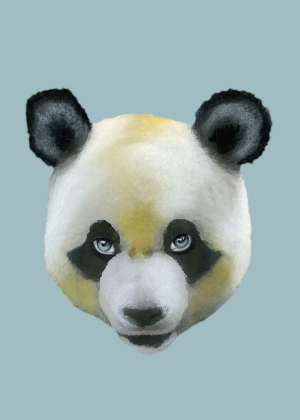 Dev Panda