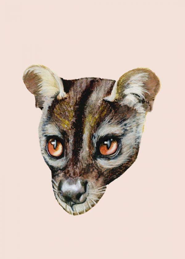 Fossa