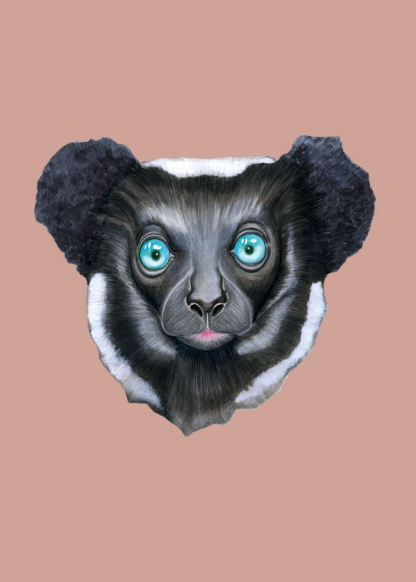 Indri Lemuru